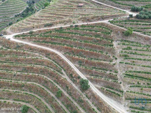 Propriedade em Ervedosa do Douro de 120000,00 m2