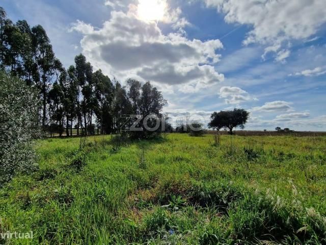 Quinta em Ferreira do Alentejo Gaspares
