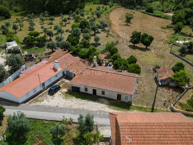 Quinta em Ferreira Zzere