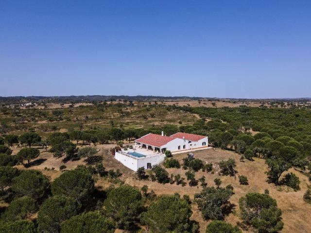 Quinta em Ourique com 10.9 hectares 311m² Ourique