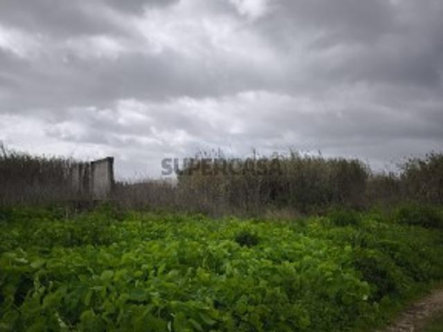 Quinta em Monte de Caparica,Almada, com lote de 23 497 m²,perto de Universidade