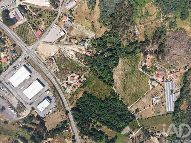 Quinta em Mangualde, Mesquitela e Cunha Alta