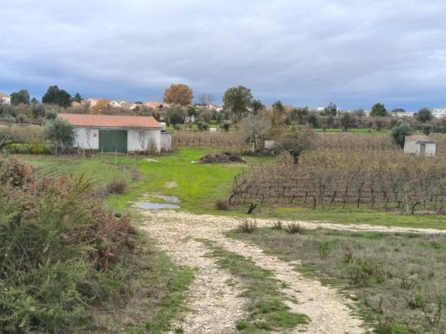 Quinta em Nelas com vinhas