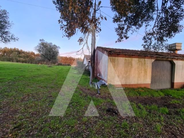 Quinta em Souto da Carpalhosa Leiria