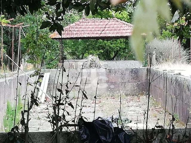 QUINTA EM SANTA MARTA PARA RESTAURO COM 20000 M2 COM POTENCIAL DE NEGOCIO!