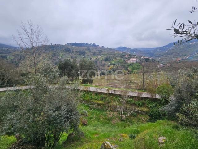 Quinta em Porto de Rei, Mesão Frio com vistas para o Douro