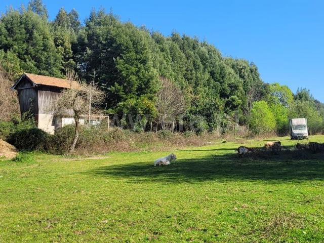 Quinta em Pedroso, Portugal