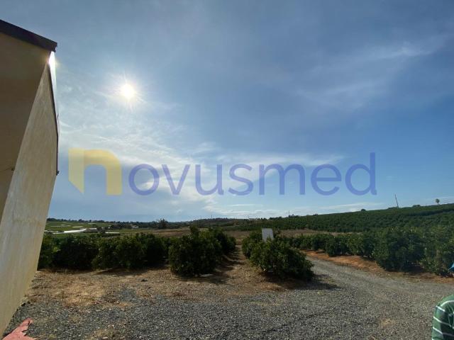 Quinta em plena produção de laranjal, exploração agrícola, A. 500m² Quelfes