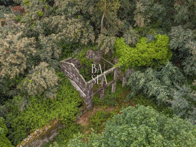 Quinta em ruína com 9.6 ha de terreno em São Clemente Fafe 340m² Antime e Silvares S. Clemente