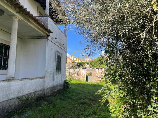 Quinta em Torres Novas com 3800m2