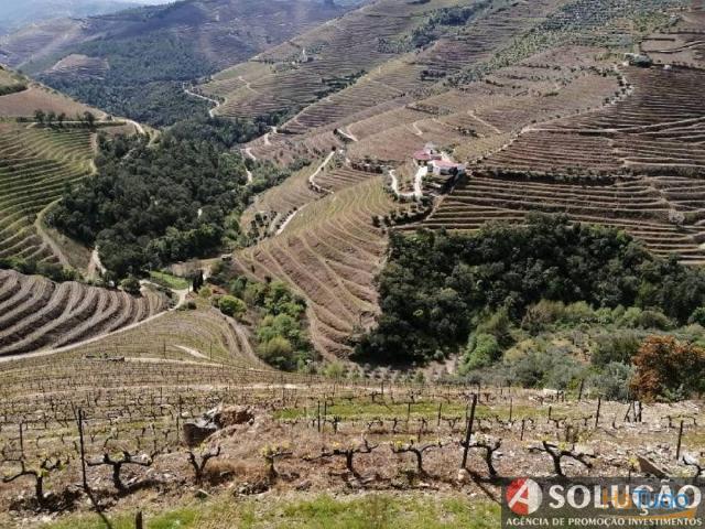 Quinta em Vila Real | 26074092862