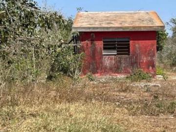 Quinta en venta 672 hectáreas en Panaba Yucatán México