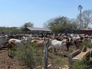 Quinta en venta 672 hect?reas en Panaba Yucat?n M?xico