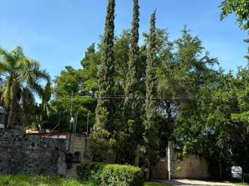 Quinta en Venta Arbolada de 18mil m2 Xochitepec Morelos