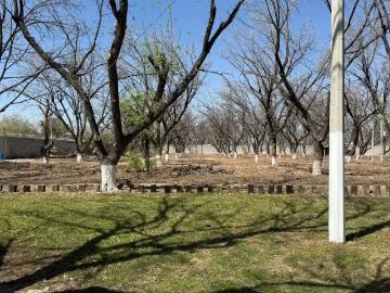 Quinta en Venta en Villa Juárez Lerdo Durango
