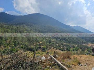 Quinta en venta Llanitos