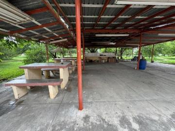 Quinta en Venta, Revolución Verde