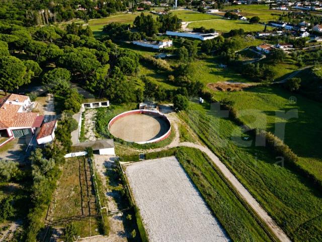 Quinta Equestre com 16 Boxes, Picadeiro e 1,41 ha em Santo Estêvão