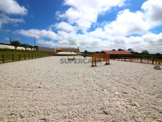 Quinta Equestre com 2,5h, totalmente preparada para a arte equestre, Óbidos