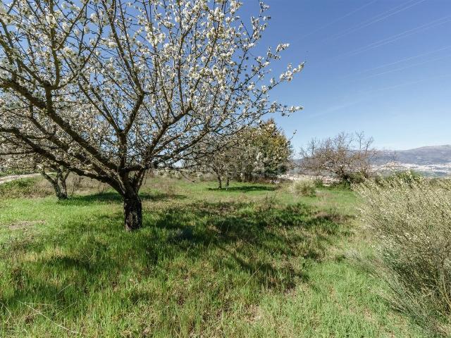 Quinta Estúdio / Covilhã, Ferro