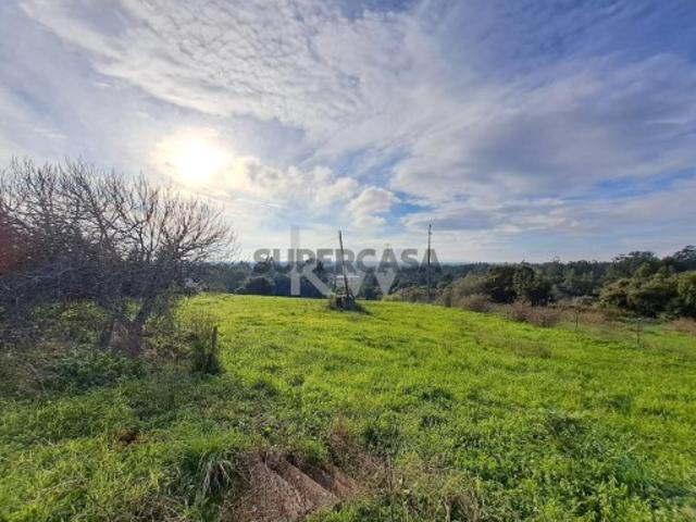 Quinta exclusiva na Póvoa da Isenta Um refúgio no coração do Ribatejo