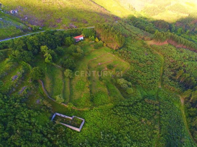 Quinta Exclusiva em Vila Verde com Projeto Aprovado para 5 Bungalows Premium