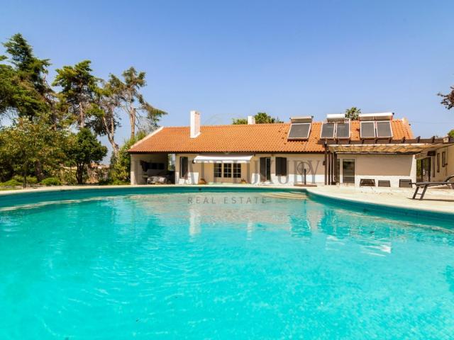Quinta exclusiva 10.000 m² de natureza privada na Arrábida