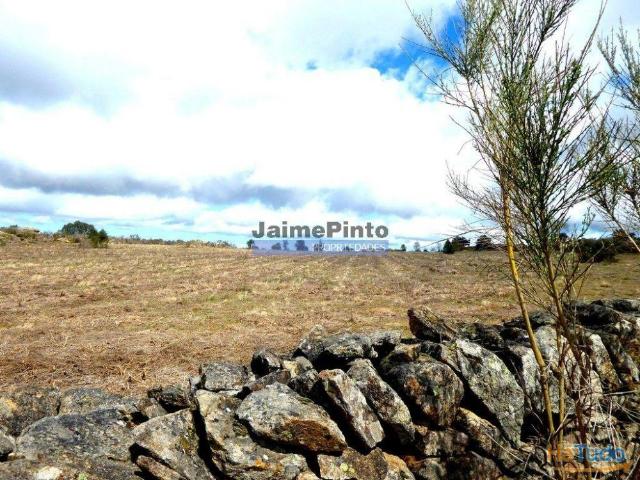 Quinta, herdade de 210.000m2 para agricultura. Portugal, Guarda, F. C. Rodrigo. | 26083536390
