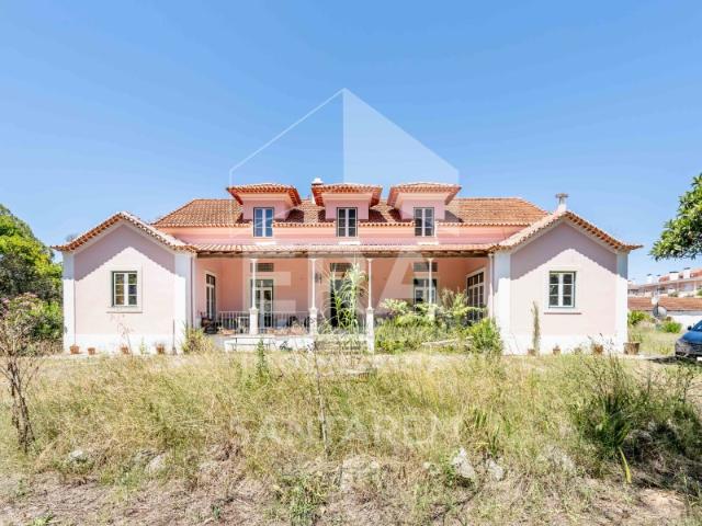 Quinta Histórica em Santarém com 539.460 m²