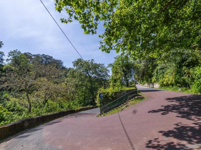 Quinta Histórica para reconstrução em Sintra m² Sintra São Martinho