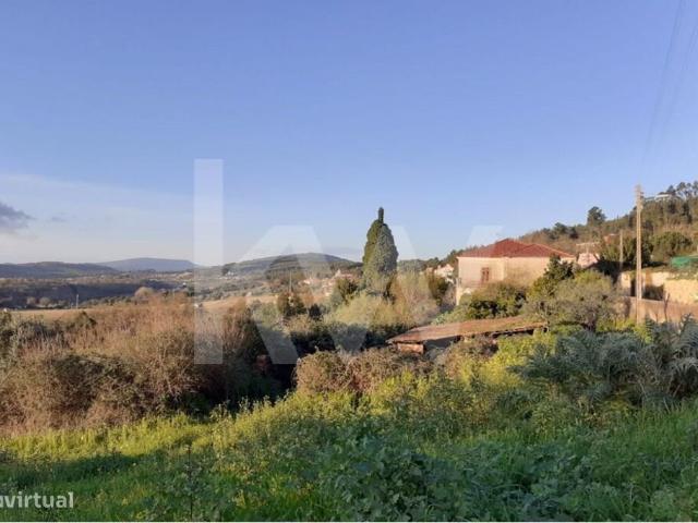 Quinta histrica com uma ampla rea de construo em Pias, Ferreira do