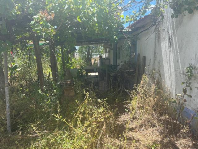 Quinta ideal para férias a 15 min. das praias do Carvalhal e Melides!