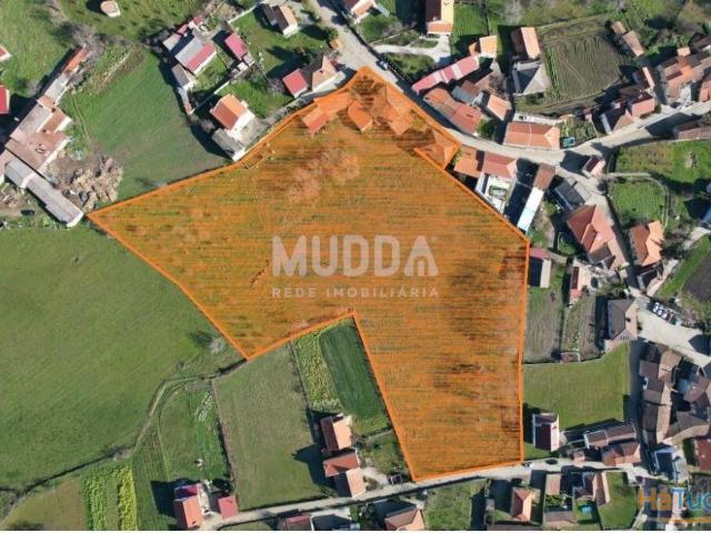 Quinta ideal para quem procura um espaço único para viver ou para investimento. | 26083900475