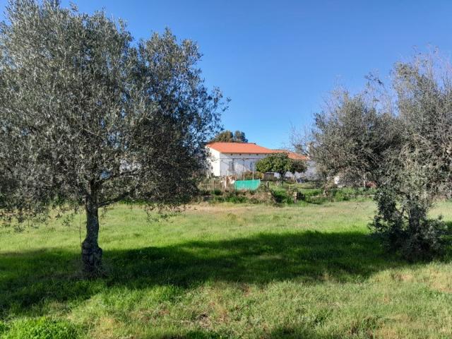 Quinta Isolada São Miguel da Acha Idanha a Nova Castelo Branco