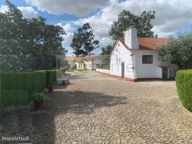 Quinta junto a Montemor o novo com 4,6 hectares