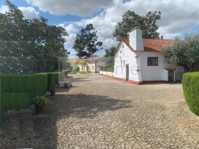 Quinta junto a Montemor o novo com 4,6 hectares