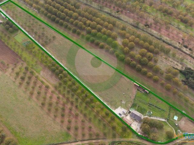 Quinta localizada a 7km da vila de Carrazedo de Montenegro | 26083920933