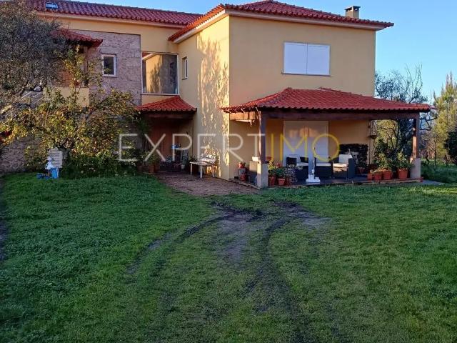Quinta, moradia premium e terreno em Parque Natural Serra Estrela