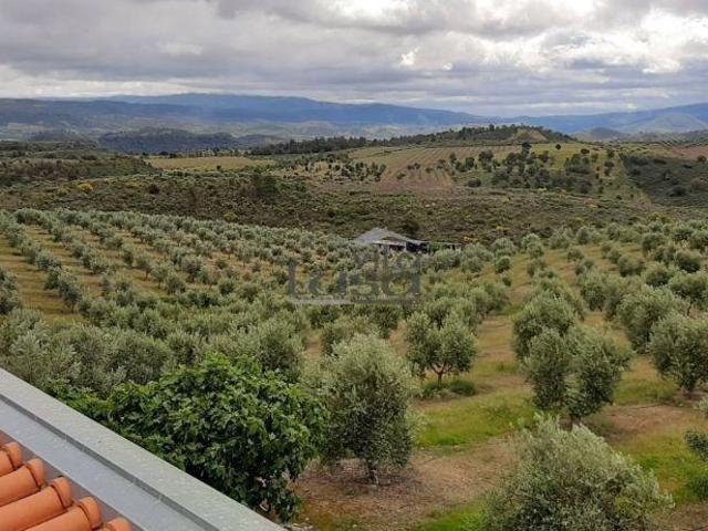 Quinta Mirandela com 12 hectares próxima do Rio Tua | 26084074776
