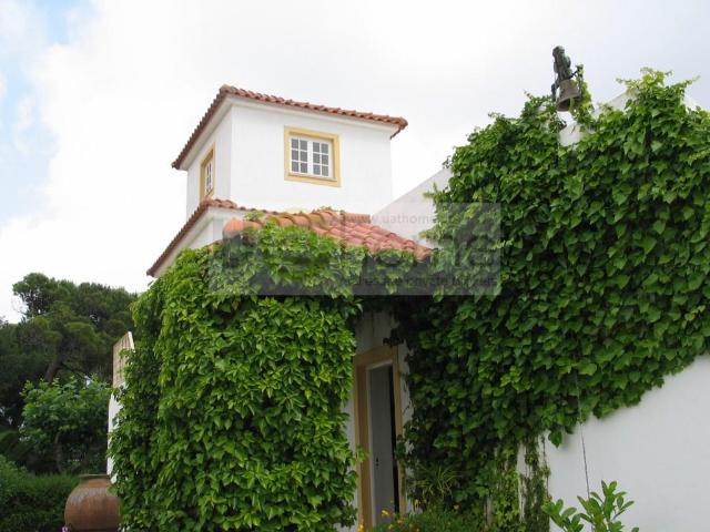 Quinta multiusos em Sintra, para lazer ou negócio! 0m² São joão das lampas e de terrugem