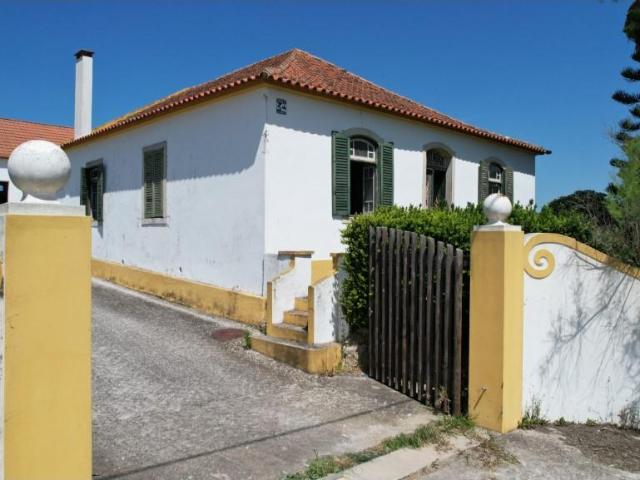 Quinta no Campo, com produção de vinho Região Oeste 0m² Carvoeira e carmões
