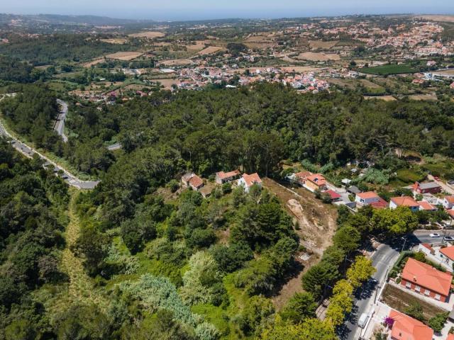 Quinta no Centro de Sintra, para venda 1114m² Sintra santa maria e são miguel