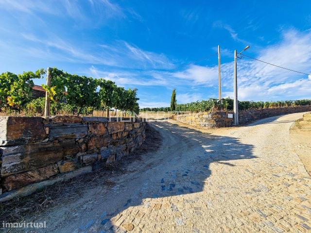 Quinta no Alto Douro Vinhateiro