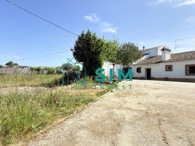 Quinta no Alentejo 1,27 ha