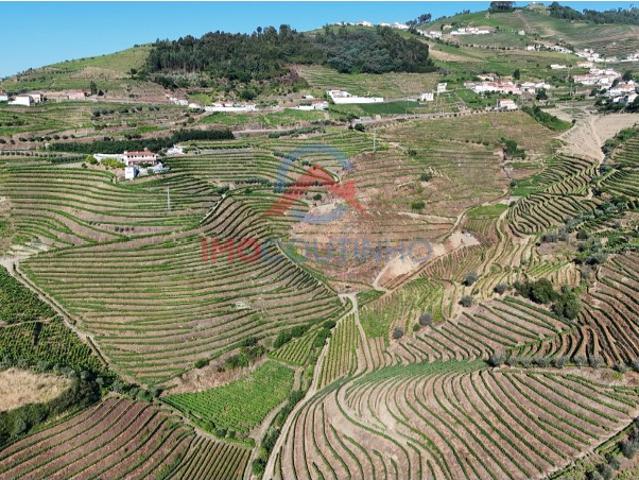 Quinta no Douro
