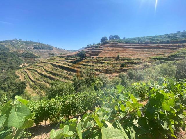 Quinta no Douro