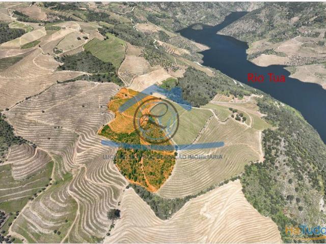 Quinta no Douro 6HA ? Alijó | 26064059172