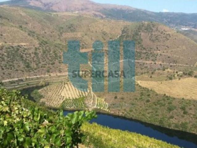 Quinta no Douro