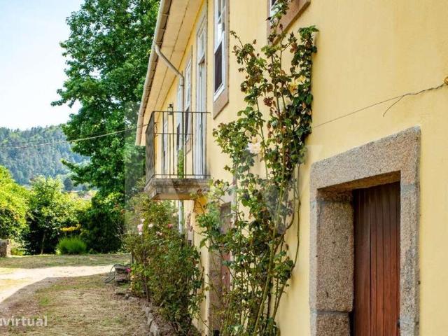QUINTA NO DOURO COM VINHA DE REGIO DEMARCADA