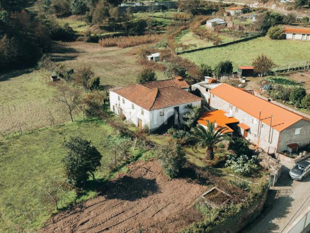 Quinta no Douro em Baião – 20.000m², Casa em Pedra e Projeto Único